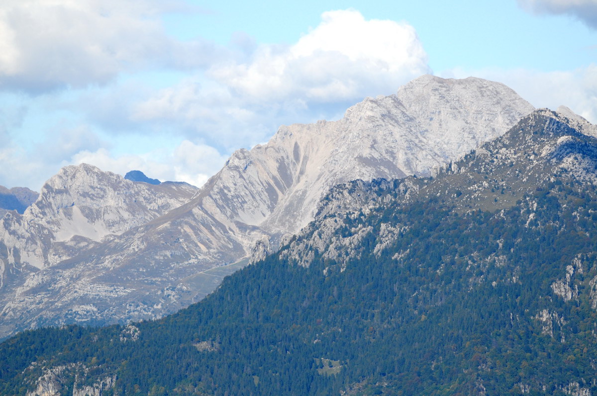 Aiuto riconoscimento Orobie, Prealpi bergamasche e bresciane